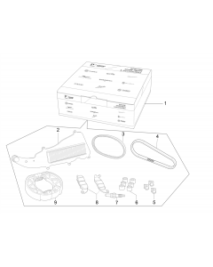Complete wear and maintenance kit