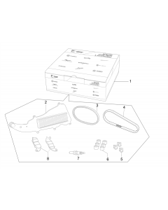 Wear and maintenance kit